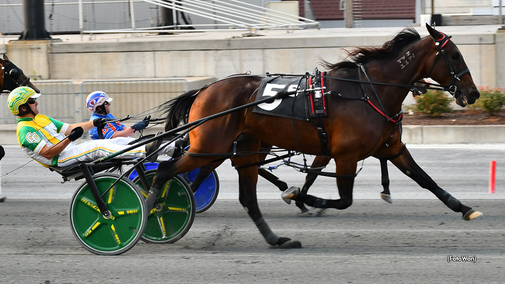 Majorca N Repeats In Harrington Open