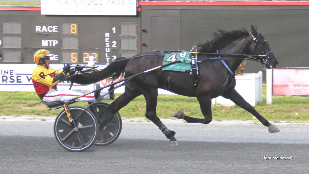 Ranger, Cecere Dominate At Plainridge
