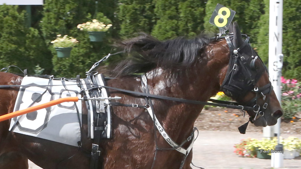Mirragon A Gets First North American Win