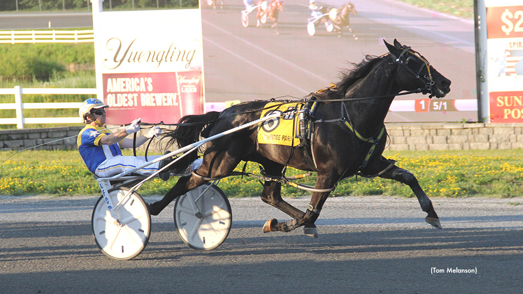 Moonshine Kisses Equals Plainridge Pacing Mark