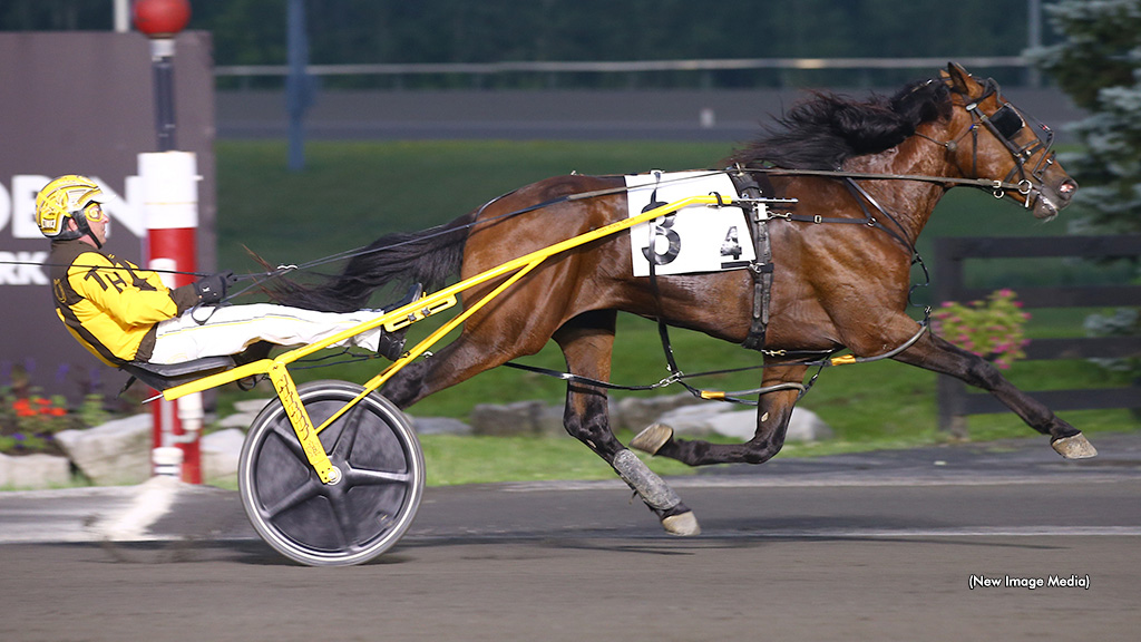 Myretirementdream Repeats In Flamboro Preferred