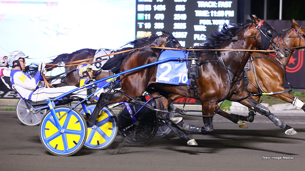 Nautical Hanover Elevated In Free For All