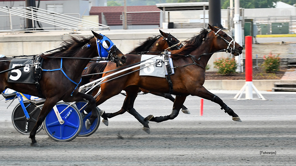 Northern Express Prevails In Harrington Open