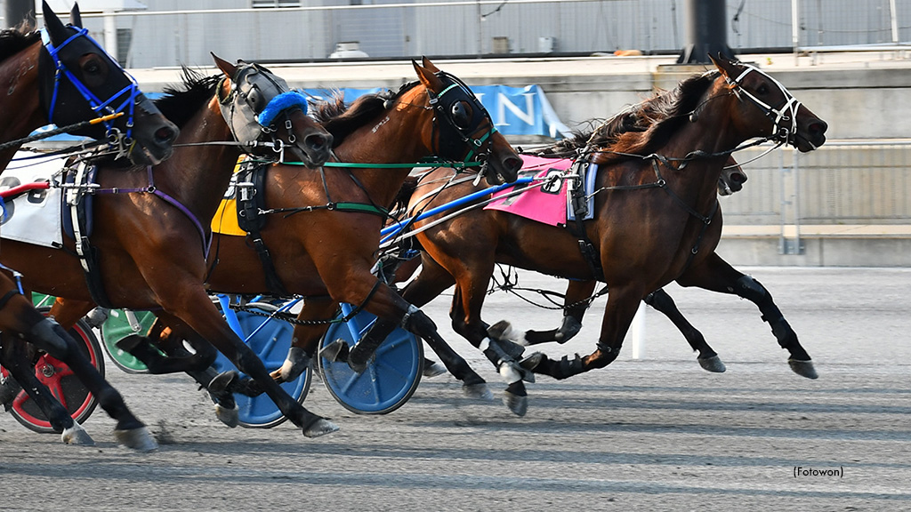 Northern Express Wins Third Straight Open At Harrington