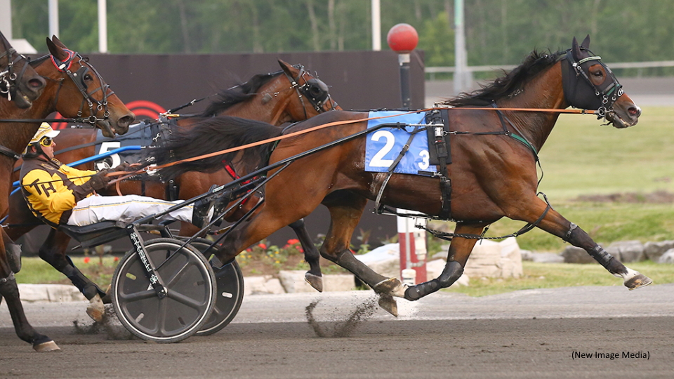Oney Hall Delivers In Mohawk Park Preferred