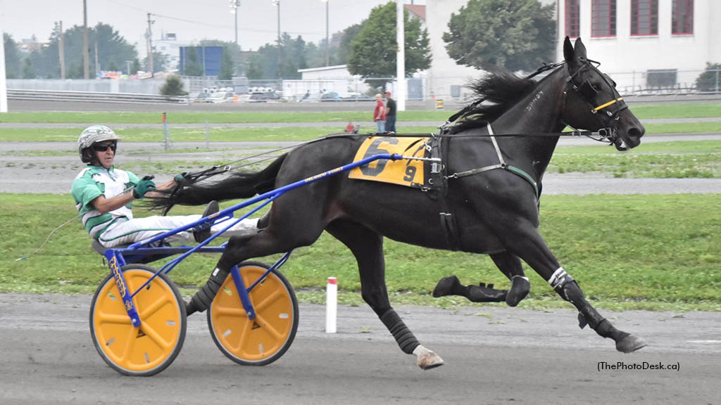 Orlys Pride Wins Final Quebec Trotting Series Prelim