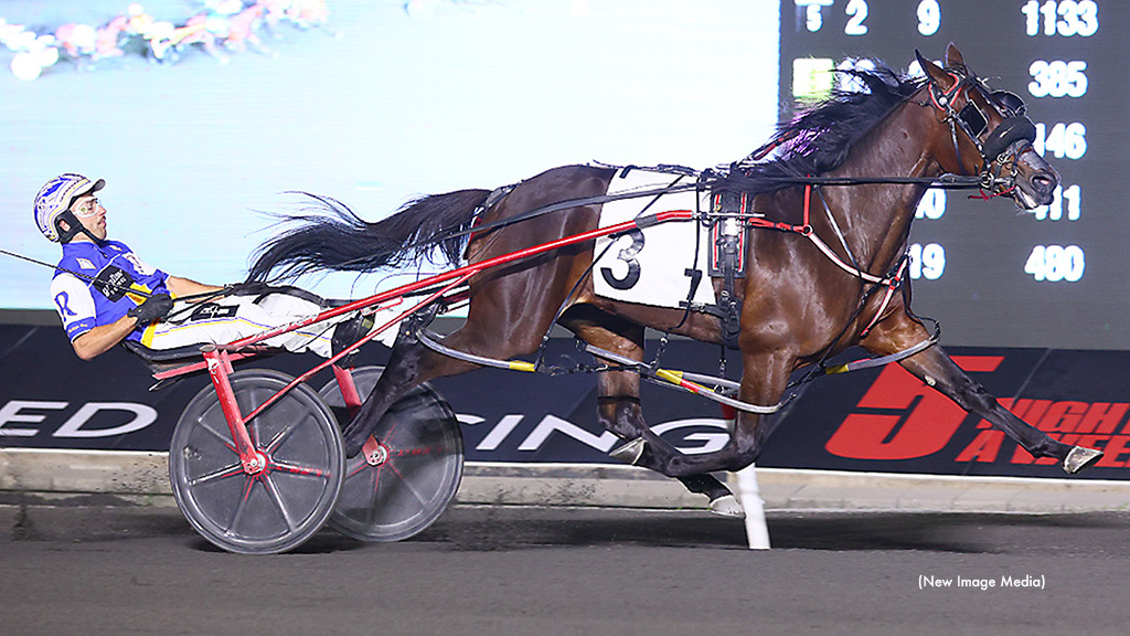 Freshmen Headline Mohawk Card