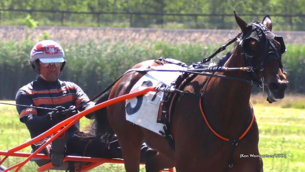 Readly Success Impresses In Gaitway Baby Races