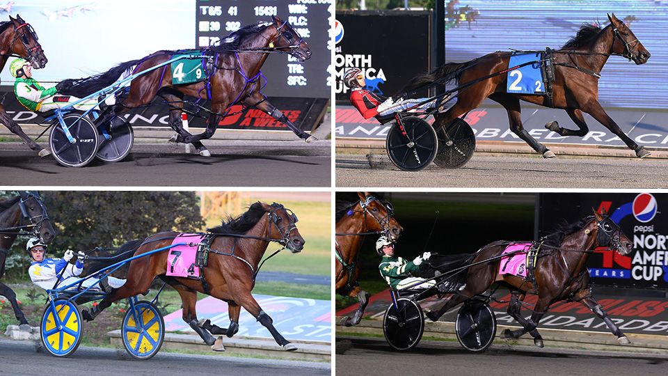 Somebeachsomewhere, Aged Stakes Flood Mohawk