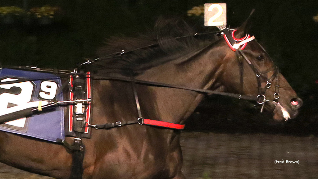 NYSS Sophomore Trotters Thrive At Tioga