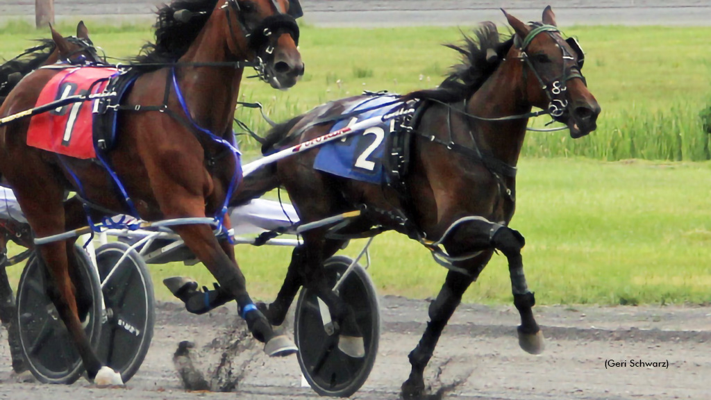 New York Sire Stakes Fillies Shine At Monticello