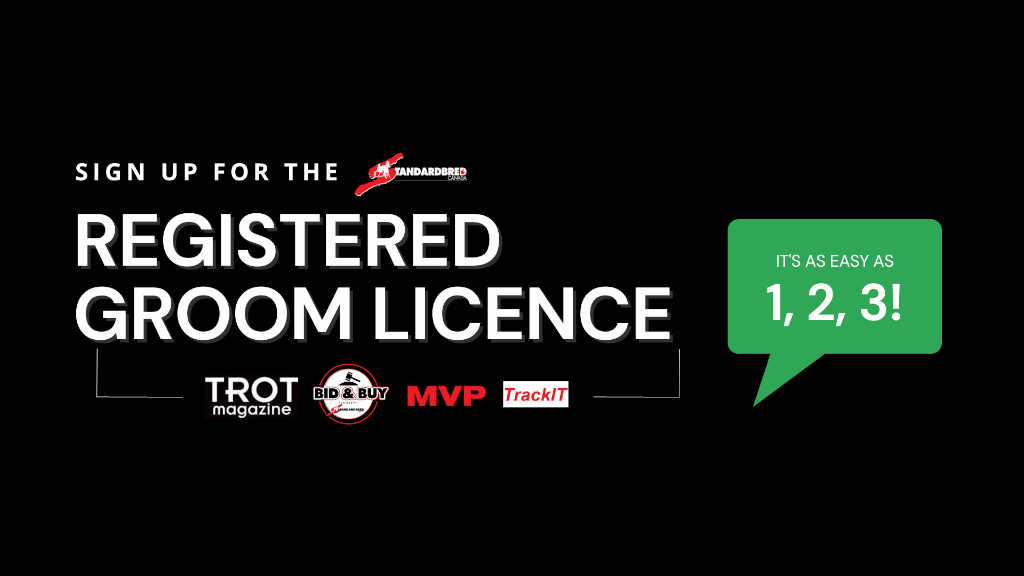 Sign Up For Your SC Registered Groom Licence In Three Steps