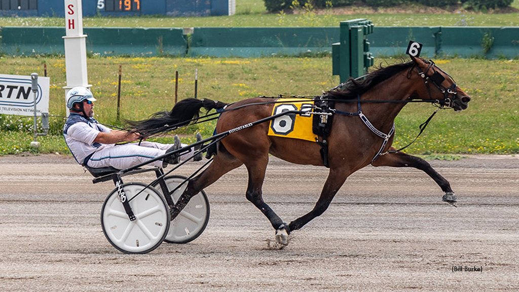 Sister Mary Maude Romps In Buffalo NYSS