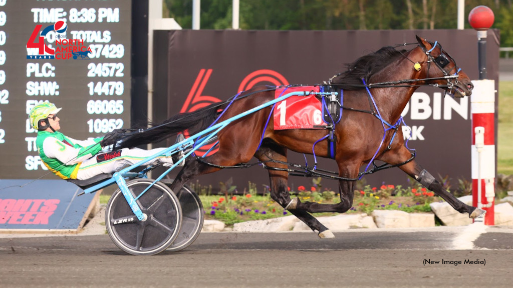 Stockade Seelster Sizzles In NA Cup Consolation