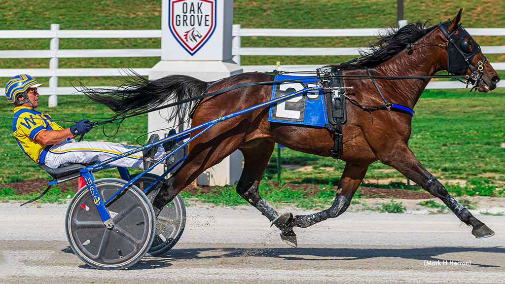Stride The Hill Strolls In Oak Grove Open