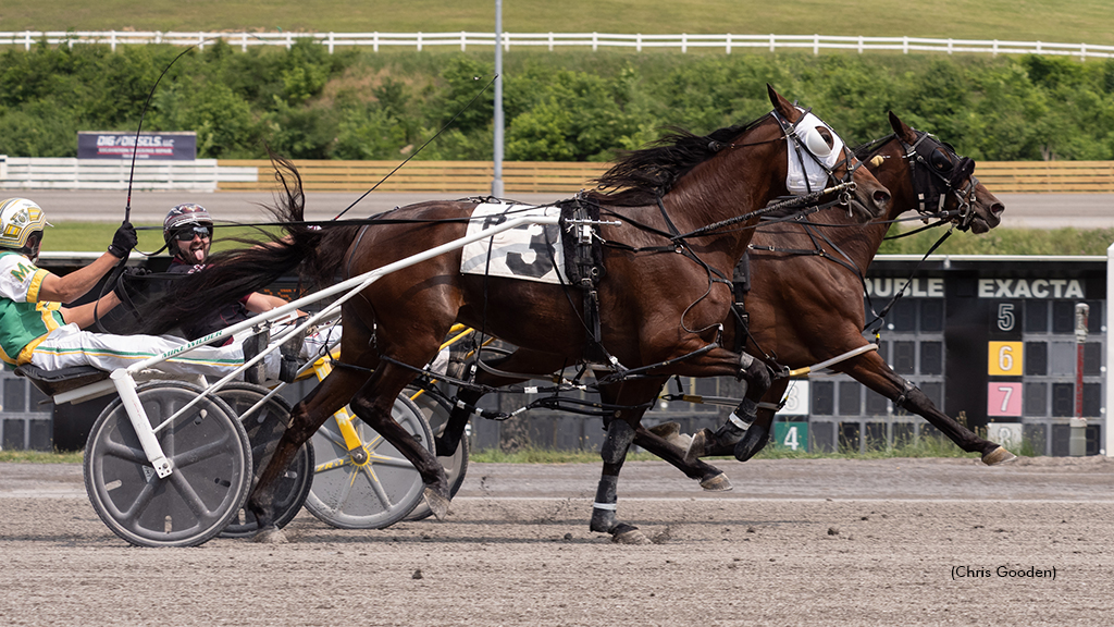 Sweet And Feisty Streaks To Meadows Open Win