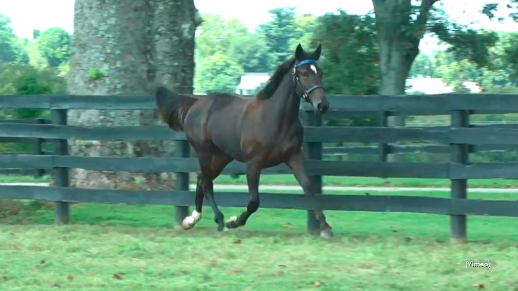 Friday's Mohawk Baby Races In The Books