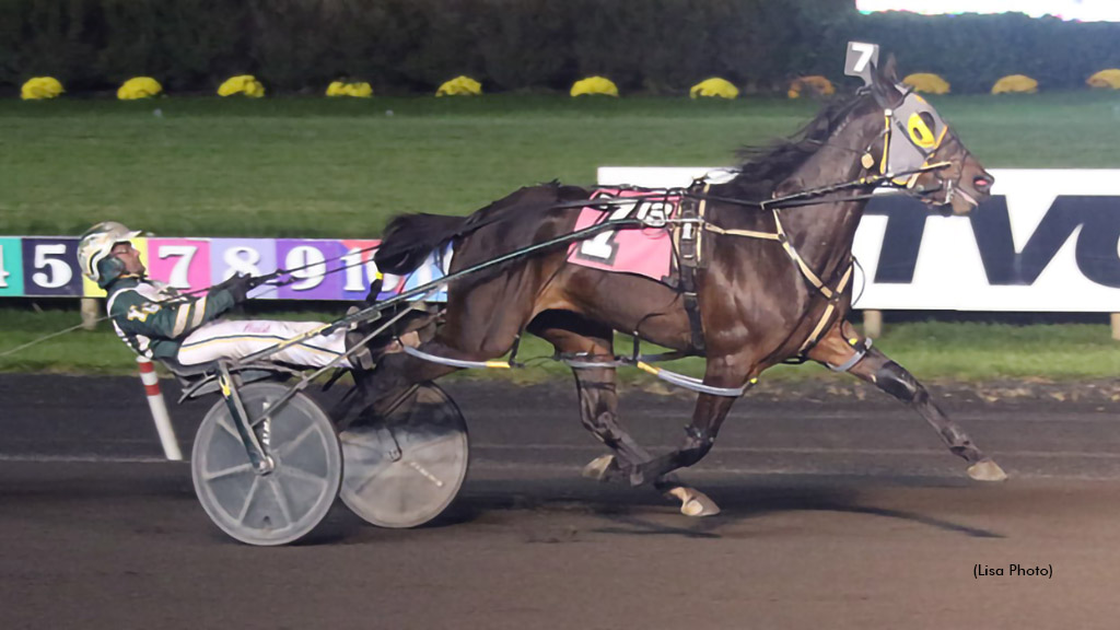 Ultimaroca Sells For Six Figures