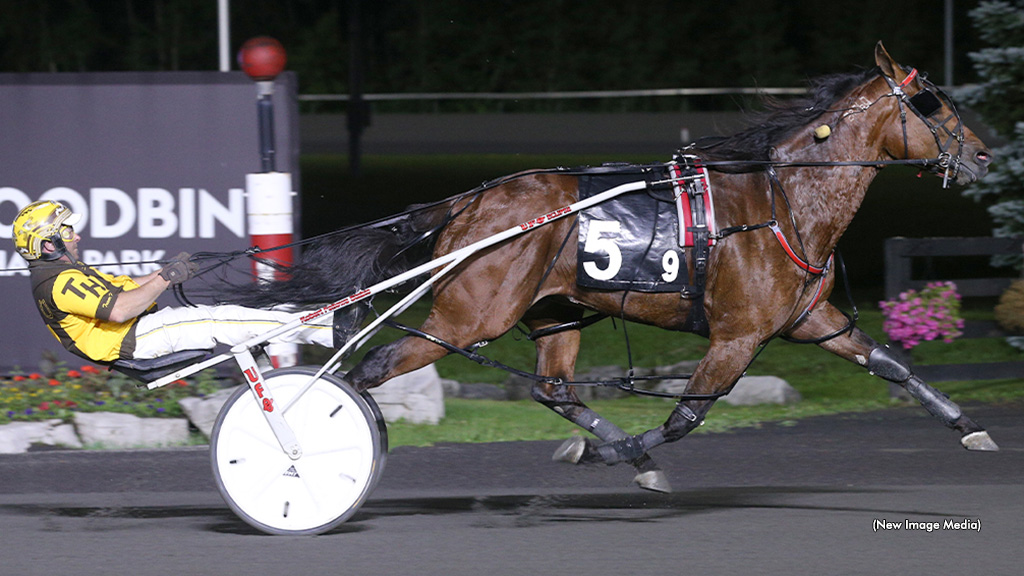 Warrawee Vital Victorious In Free For All