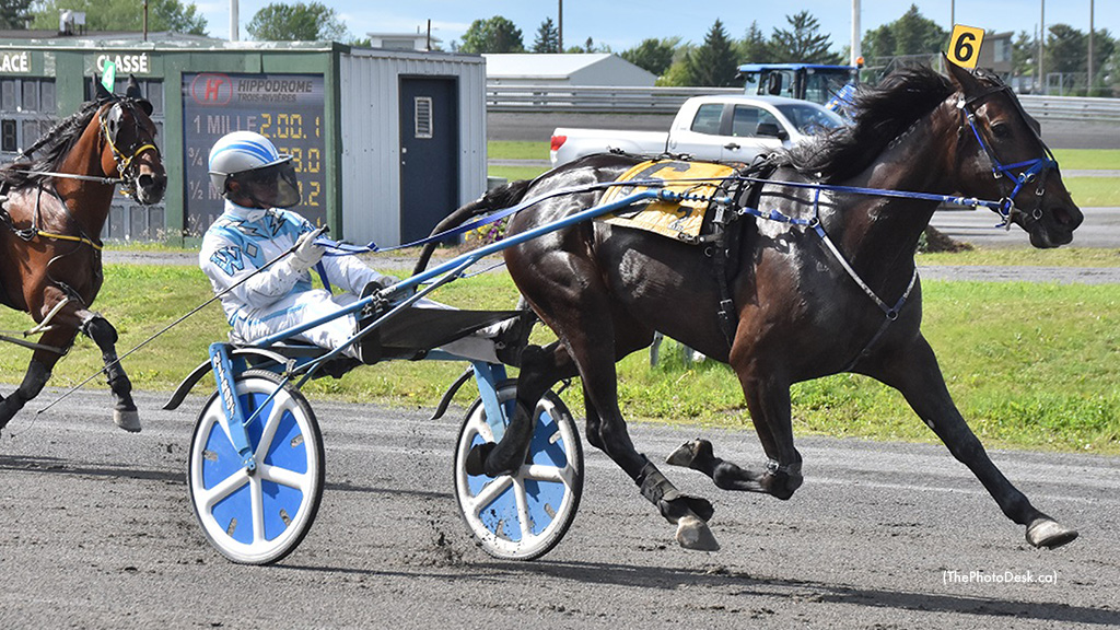 X O X O Returns Home At Hippodrome 3R