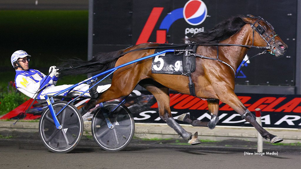 Adare Castle Tops Mohawk Preferred