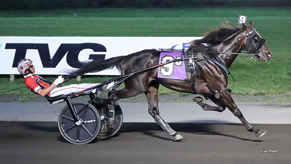 Nominations For Wiseman Free-For-All Trot Announced