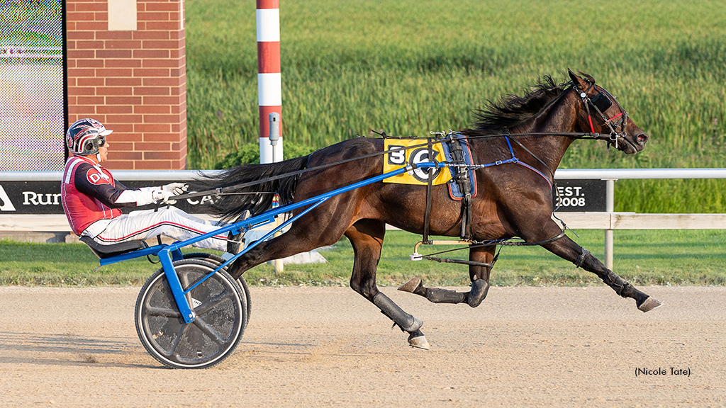 Baby Flash Remains Perfect In Seven Starts