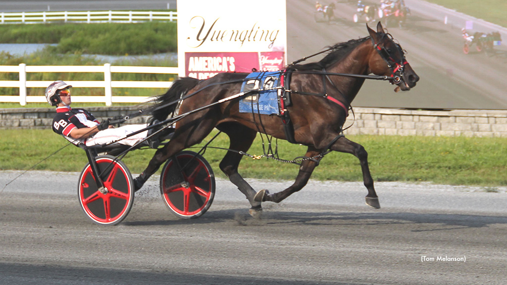 Chapheart Cruises, Ranger Wins Five At Plainridge