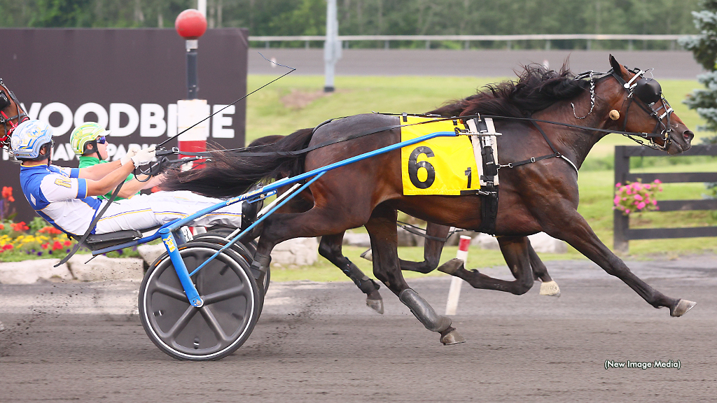 Grassroots Go On Abbreviated Mohawk Card