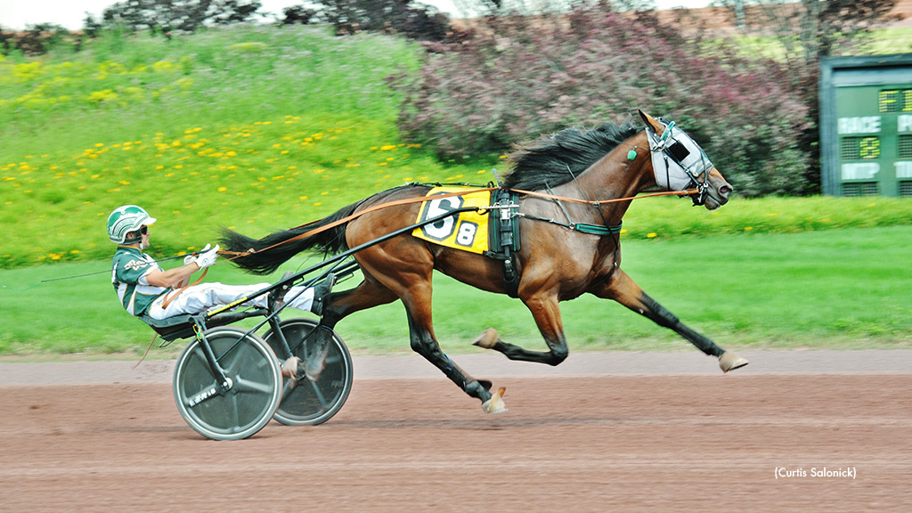 Freshman Trotting Colts Star In Pennsylvania Stakes