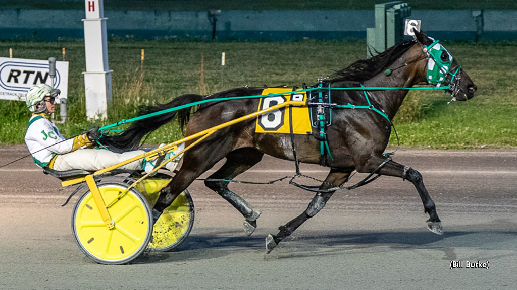Deswanslittlelorie Sets Buffalo All-Age Record
