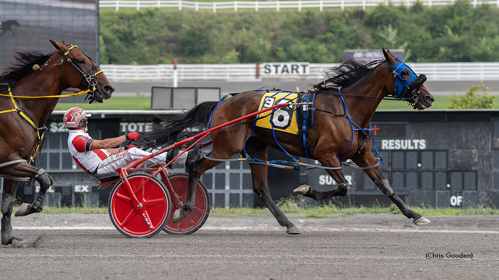 Dewitt For Josie Doubles Up In Distaff Pace