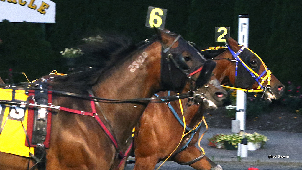 Elegant Noelle Nabs Tioga Open