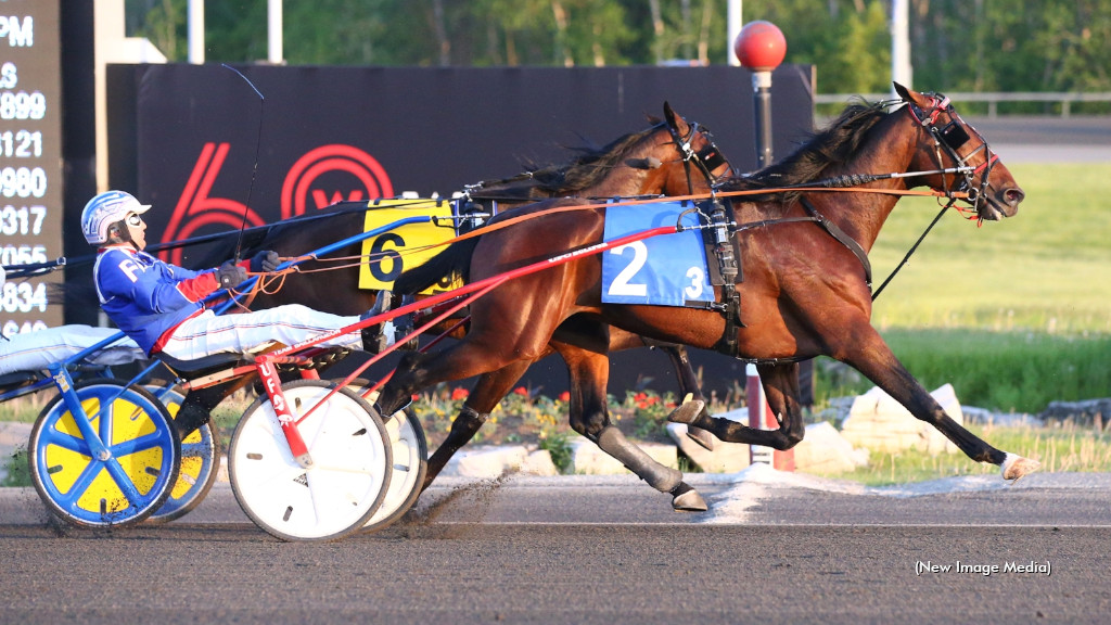 Ghostly Casper, Tuscan Prince Grab Gold At Mohawk Park