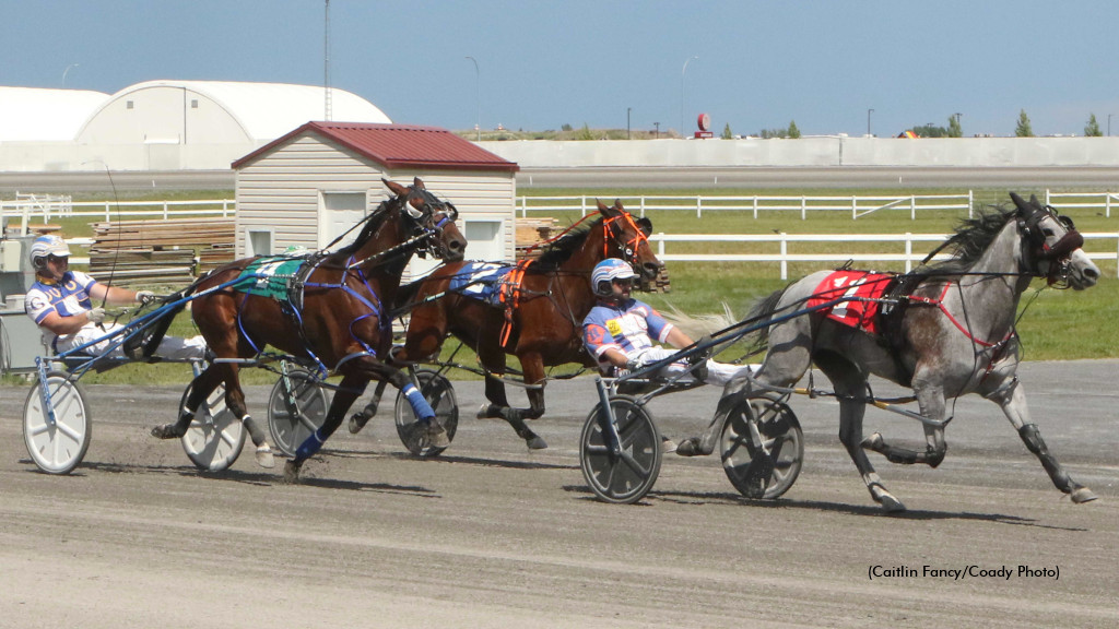 Grey Sea Soars In Century Preferred