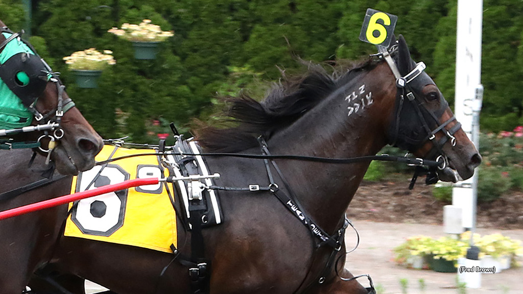 Hesa Kingslayer Scores; Merton, Harmon Win Five At Tioga