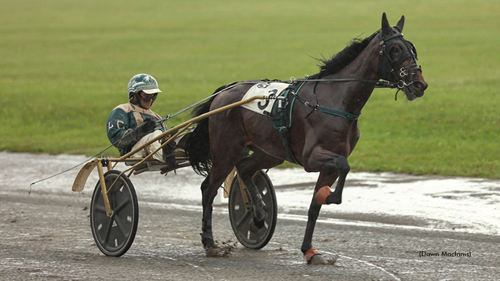 Twelve In A Row For Irish Ray