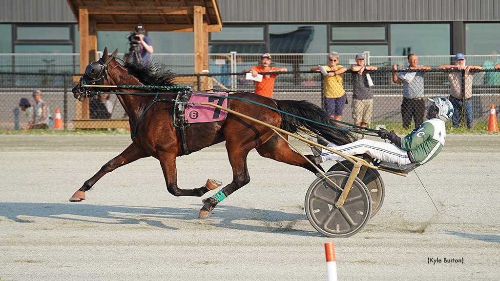 Undefeated Stars Headline P.E.I. Colt Stakes