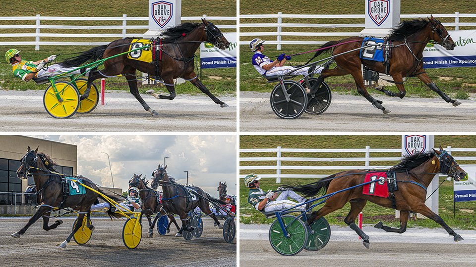 Track Records Fall In Kentucky Sire Stakes Finals