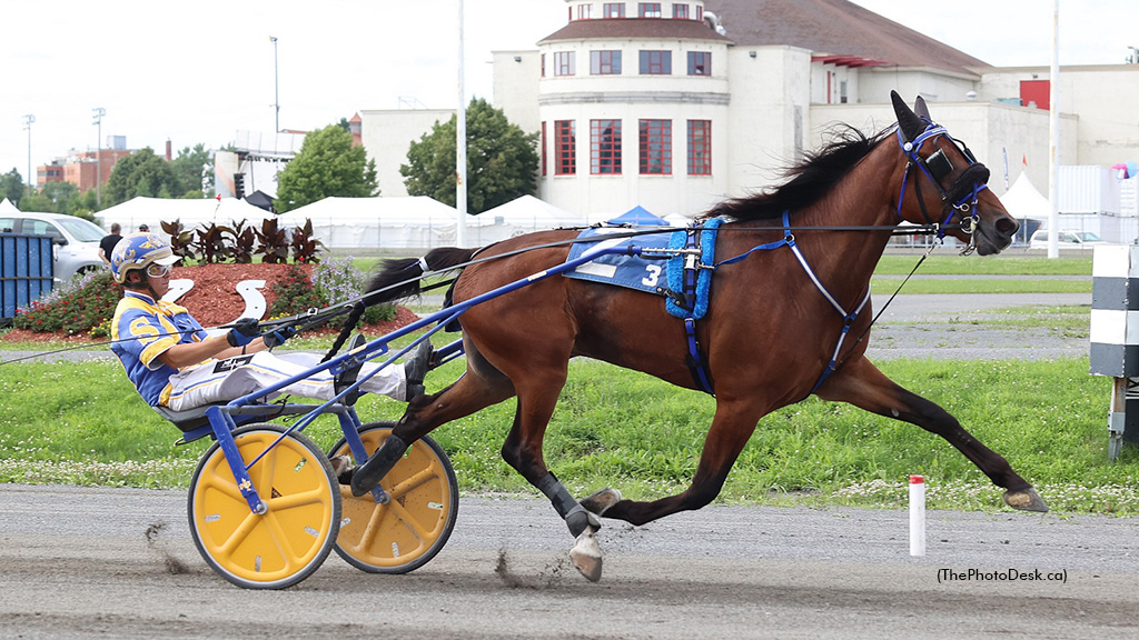Trotters Back In Quebec Spotlight Friday