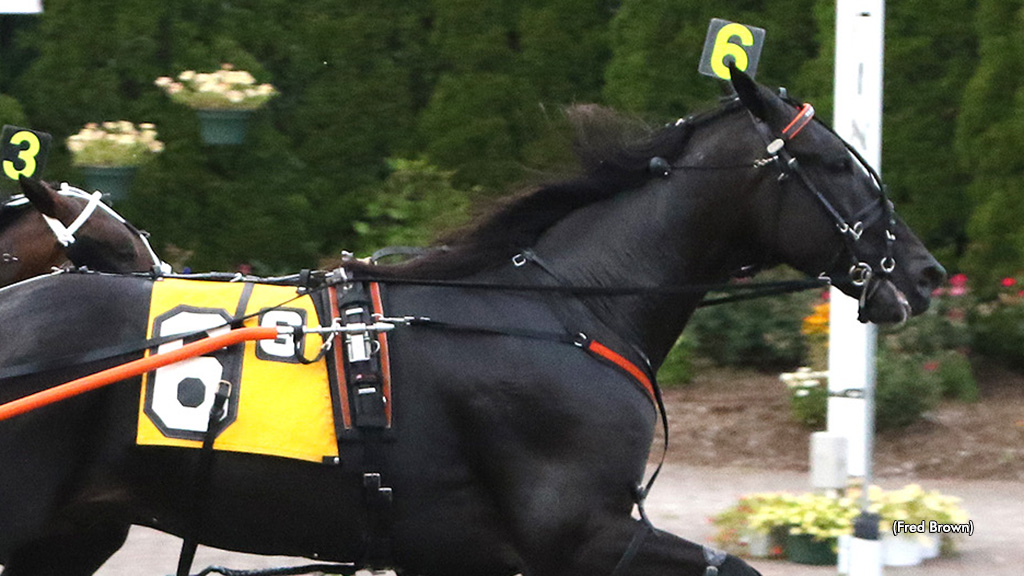 Knight Angel Reigns In Tioga Open