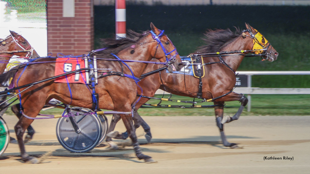 Lady Angel Heavenly In Aces Open