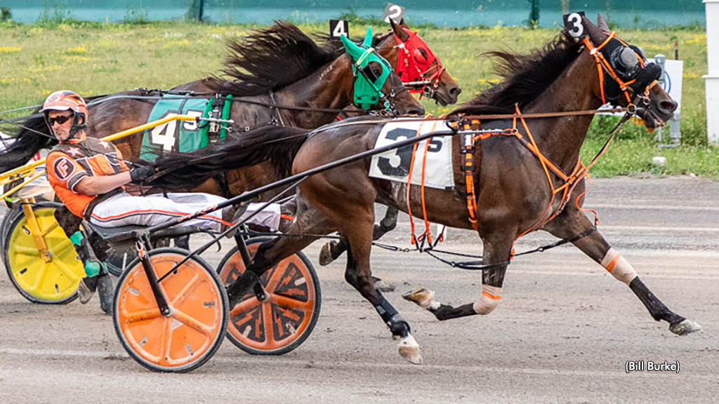 Lougazi Large At Buffalo