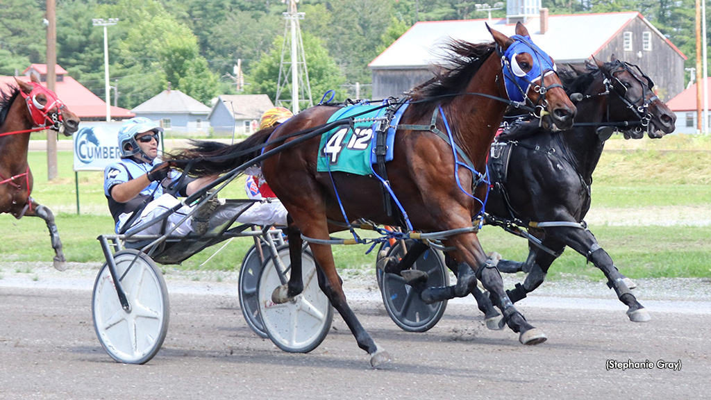 Tardif Sweeps Maine Sire Stakes
