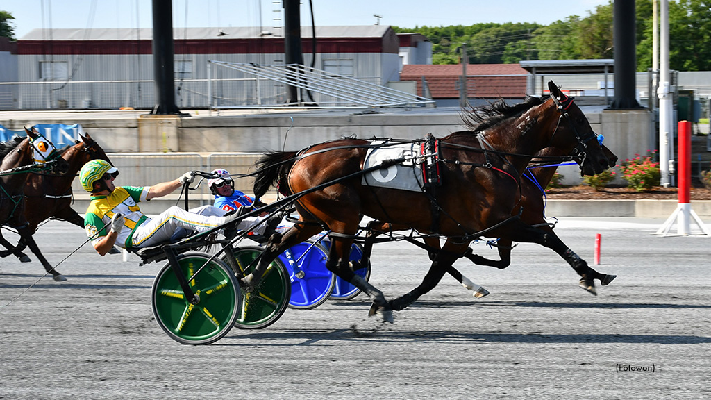 Majorca N, Itsrockandroll A Win Harrington Opens