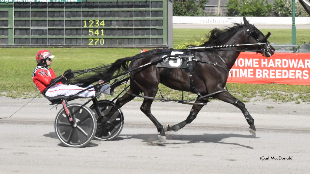Atlantic Sires Stakes Hits Cape Breton