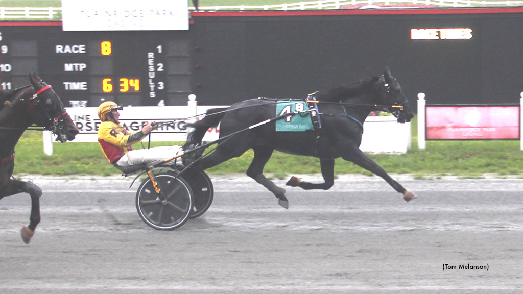 Marquis Lafayette Shines In Career Best At Plainridge