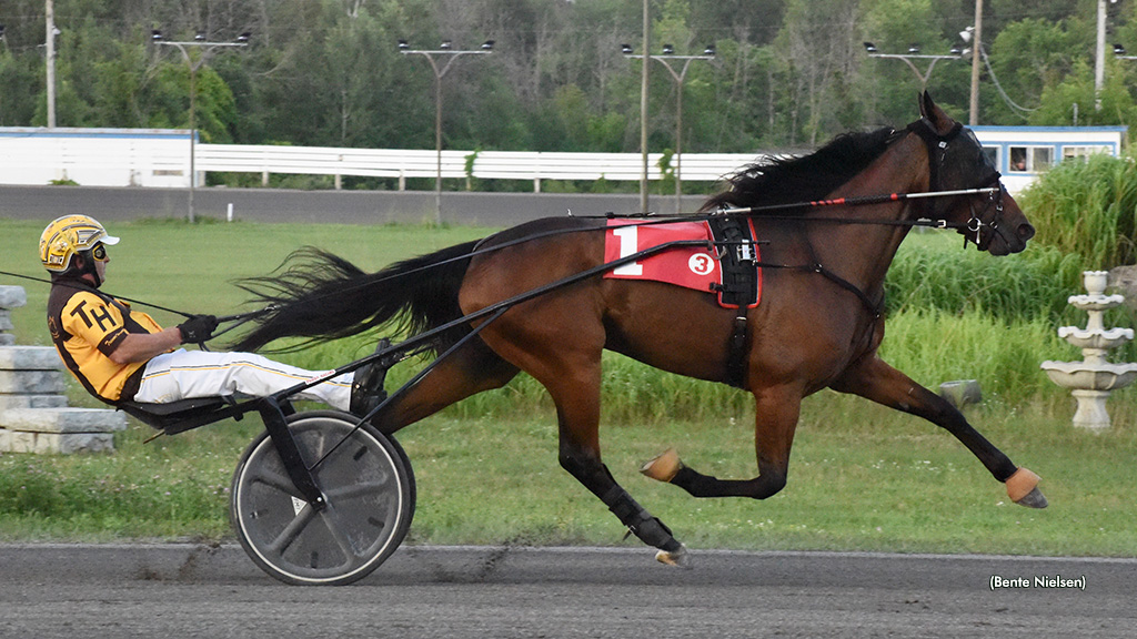 Favourites Foiled In Filly OSS Golds