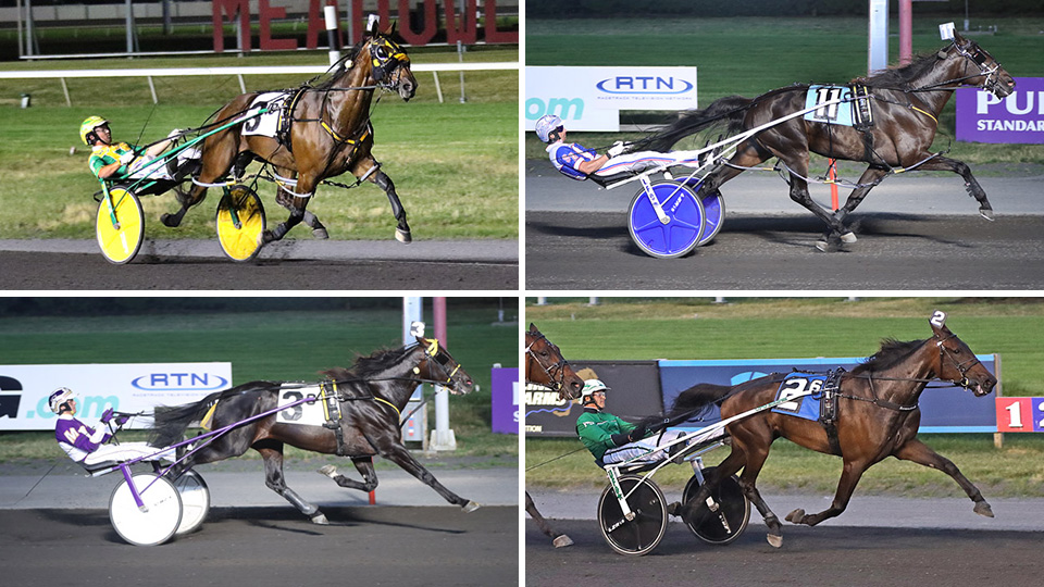 Ruthless Hanover Matches Track Record In Dave Brower Memorial