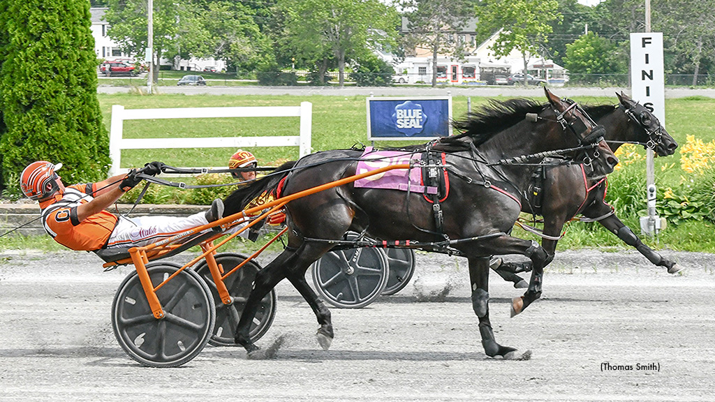 Mrs Foxy Roxy Wins Another Maine Sire Stakes